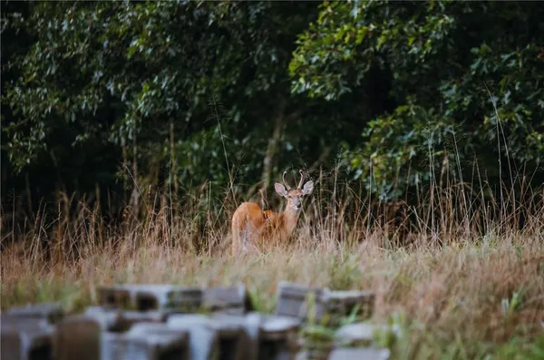 $1,292,000 | 0 Knobby Creek Road, Edwards, MO 65326