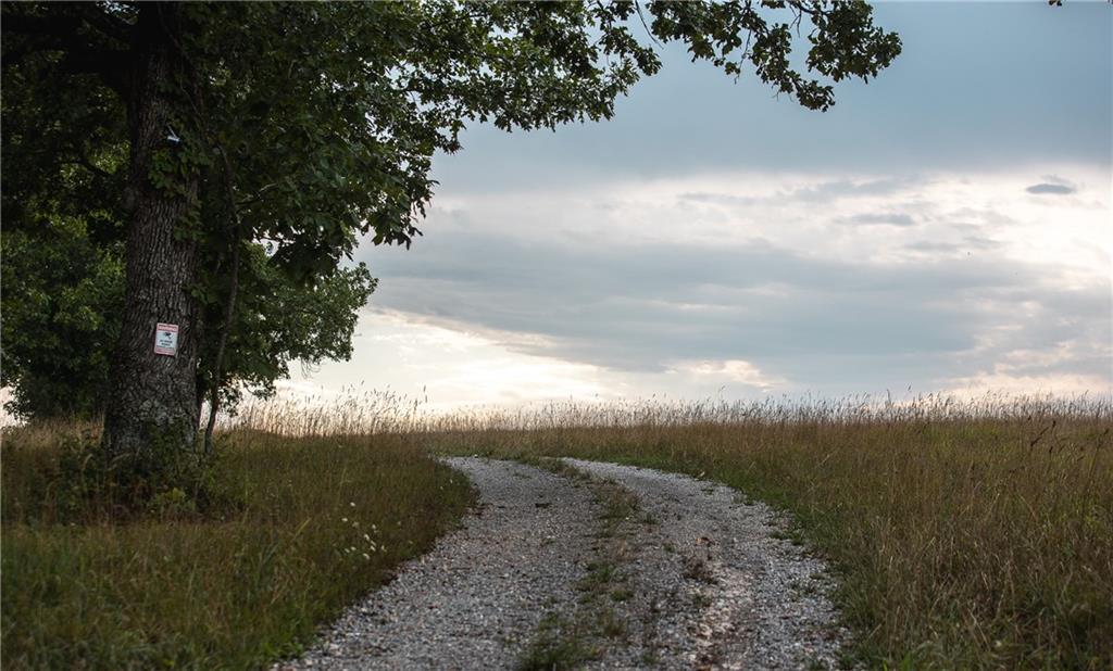 0 Knobby Creek Road Edwards, MO 65326 - Photo 57 of 63