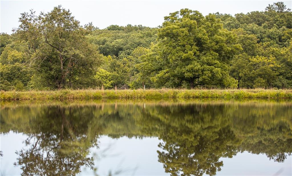 0 Knobby Creek Road Edwards, MO 65326 - Photo 59 of 63
