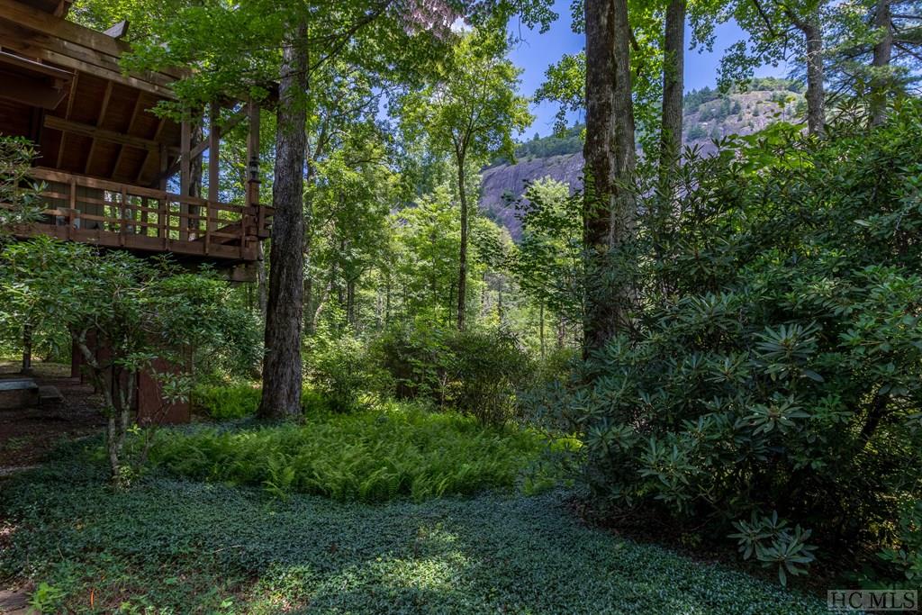 466 Wade Road Cashiers, NC 28717 - Photo 59 of 69 Gallery Image 59