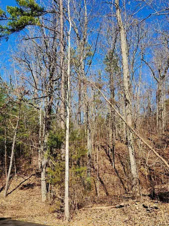 $30,000 | 0 North Woods Lane, Unit 15, Trenton, GA 30752