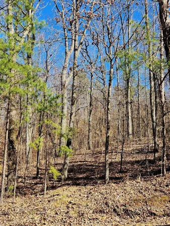 $30,000 | 0 North Woods Lane, Unit 15, Trenton, GA 30752