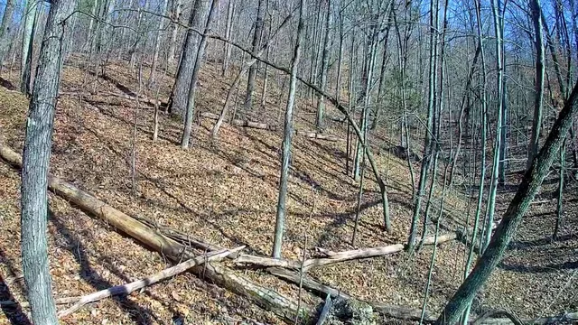 $30,000 | 0 North Woods Lane, Unit 15, Trenton, GA 30752