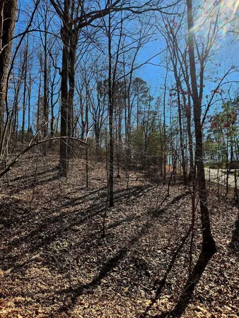 $30,000 | 0 North Woods Lane, Unit 15, Trenton, GA 30752