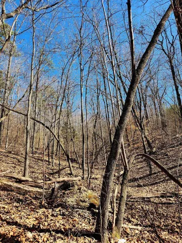 $30,000 | 0 North Woods Lane, Unit 15, Trenton, GA 30752