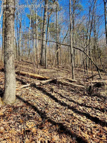 $30,000 | 0 North Woods Lane, Unit 15, Trenton, GA 30752