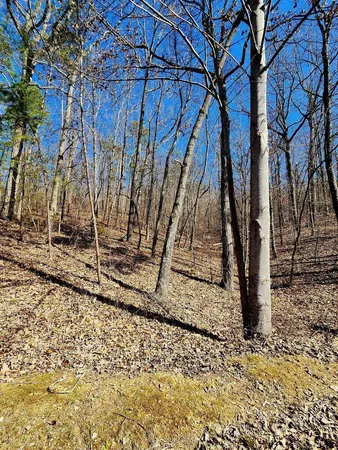 $30,000 | 0 North Woods Lane, Unit 15, Trenton, GA 30752