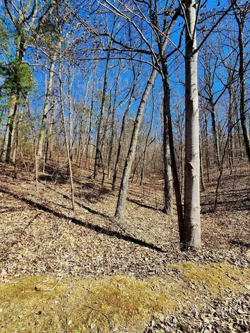 $30,000 | 0 North Woods Lane, Unit 15, Trenton, GA 30752