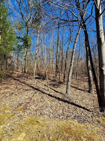 $30,000 | 0 North Woods Lane, Unit 15, Trenton, GA 30752