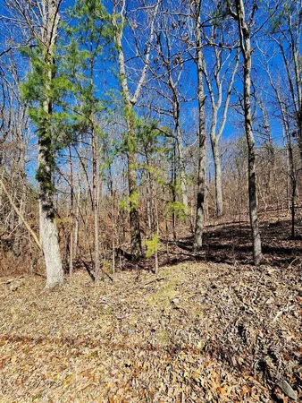 $30,000 | 0 North Woods Lane, Unit 15, Trenton, GA 30752