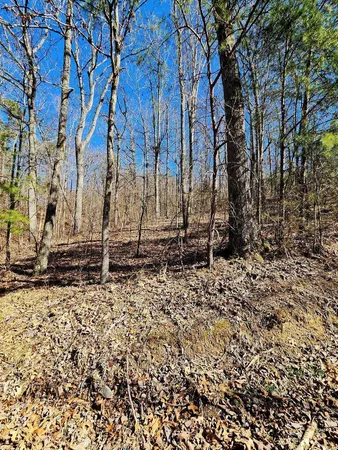 $30,000 | 0 North Woods Lane, Unit 15, Trenton, GA 30752