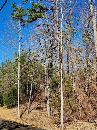 $30,000 | 0 North Woods Lane, Unit 15, Trenton, GA 30752