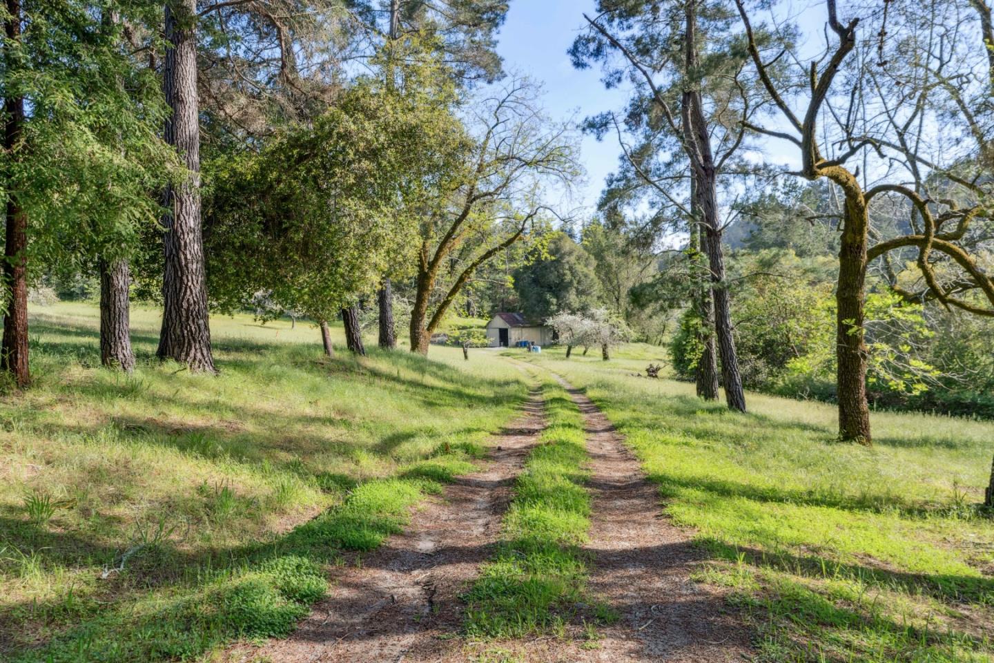 620 Twin Lane Soquel, CA 95073 - Photo 37 of 67 a view of yard with trees