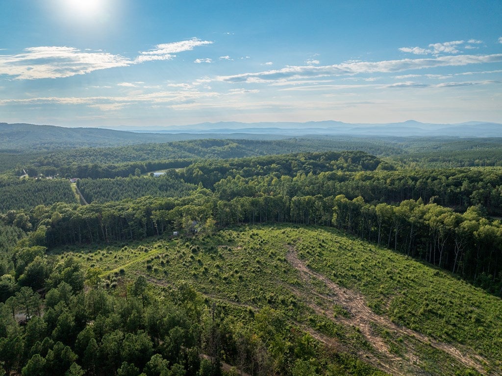 Meadow Creek Road, Unit A&B Wingina, VA 24599 - Photo 12 of 23 Gallery Image 12