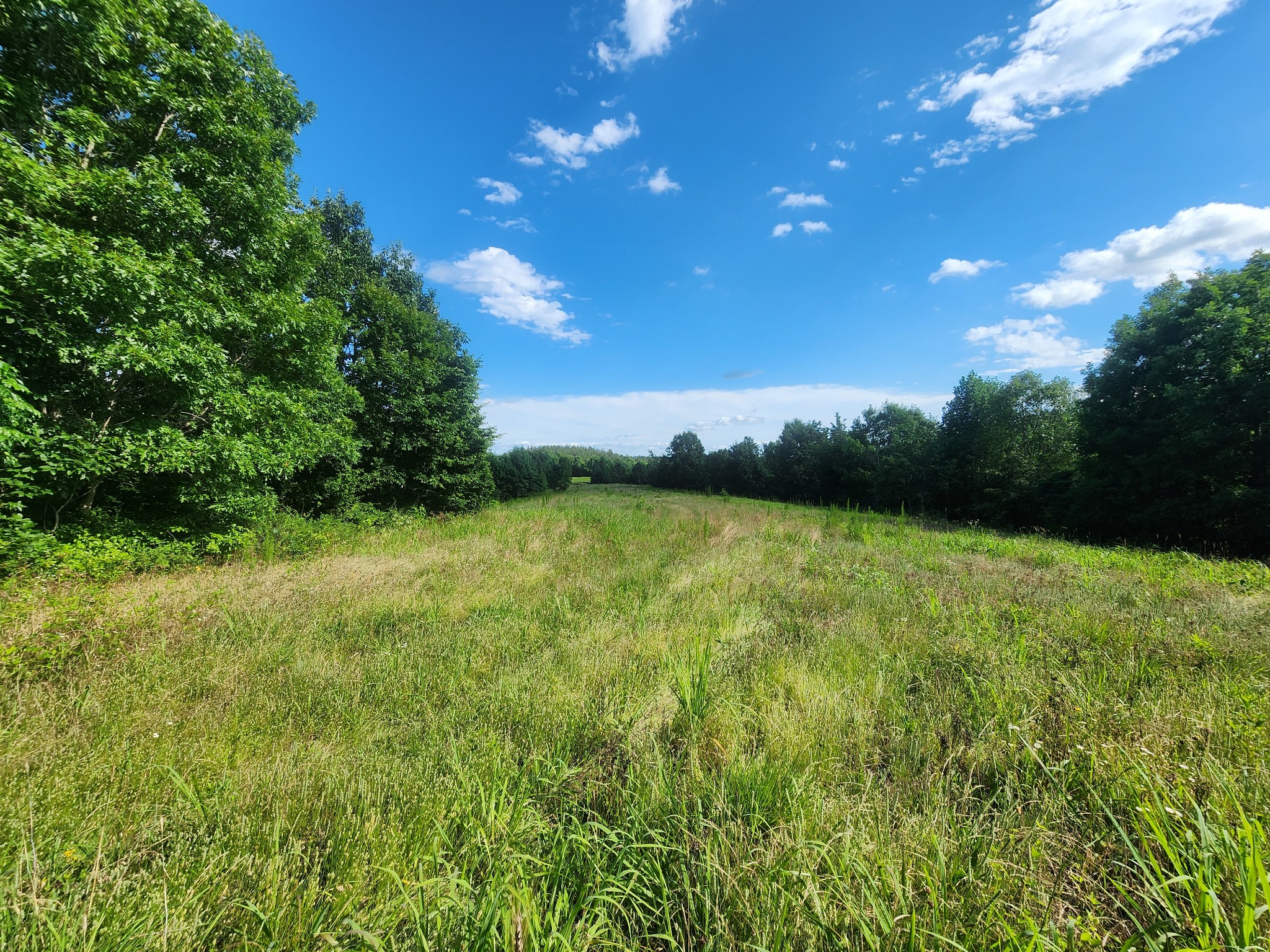 0 Sinking Creek Road Linden, TN 37096 - Photo 3 of 23