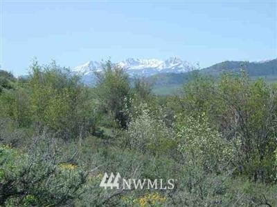 -xxxx Big Valley View Road Winthrop, WA 98862 - Photo 1 of 1 Gallery Image 1
