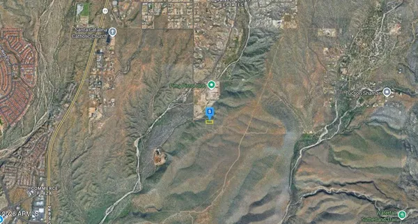 a close up of a plant in a bathroom