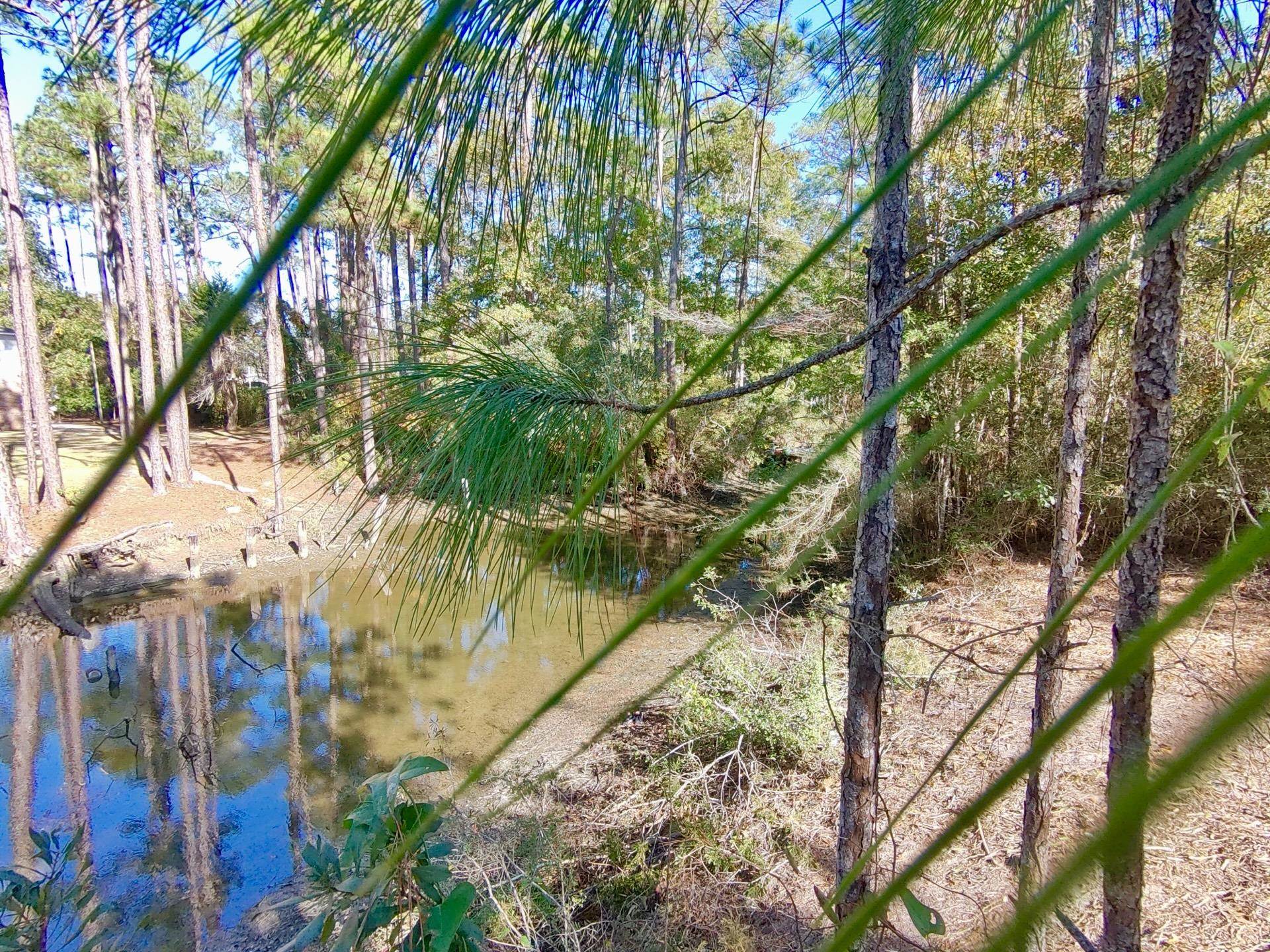 40707 Canal Circle Fairhope, AL 36532 - Photo 2 of 10 View
