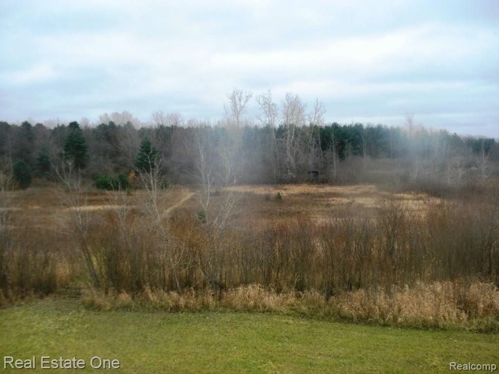 0 West Burns Line Road Melvin, MI 48454 - Photo 3 of 8