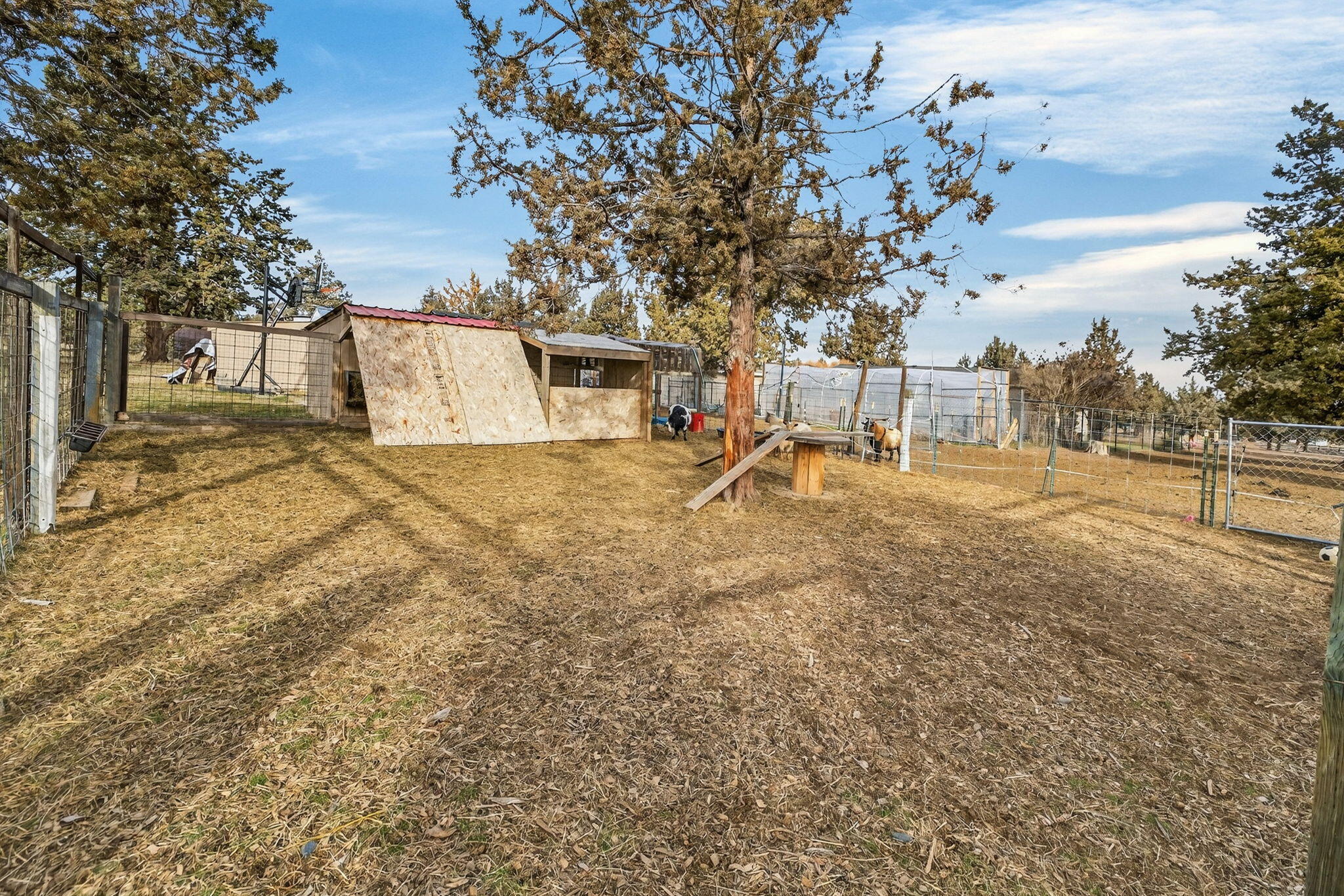 12916 Southwest Wheat Grass Road Terrebonne, OR 97760 - Photo 33 of 44