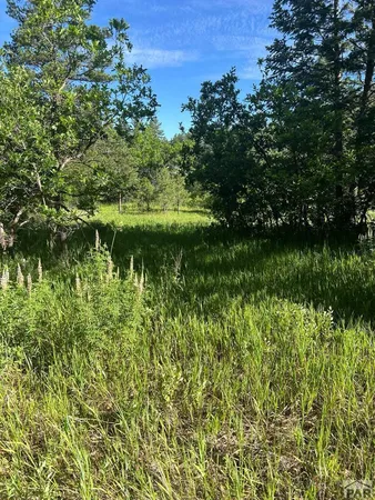 $395,000 | Tbd Pine Drive, Beulah, CO 81023