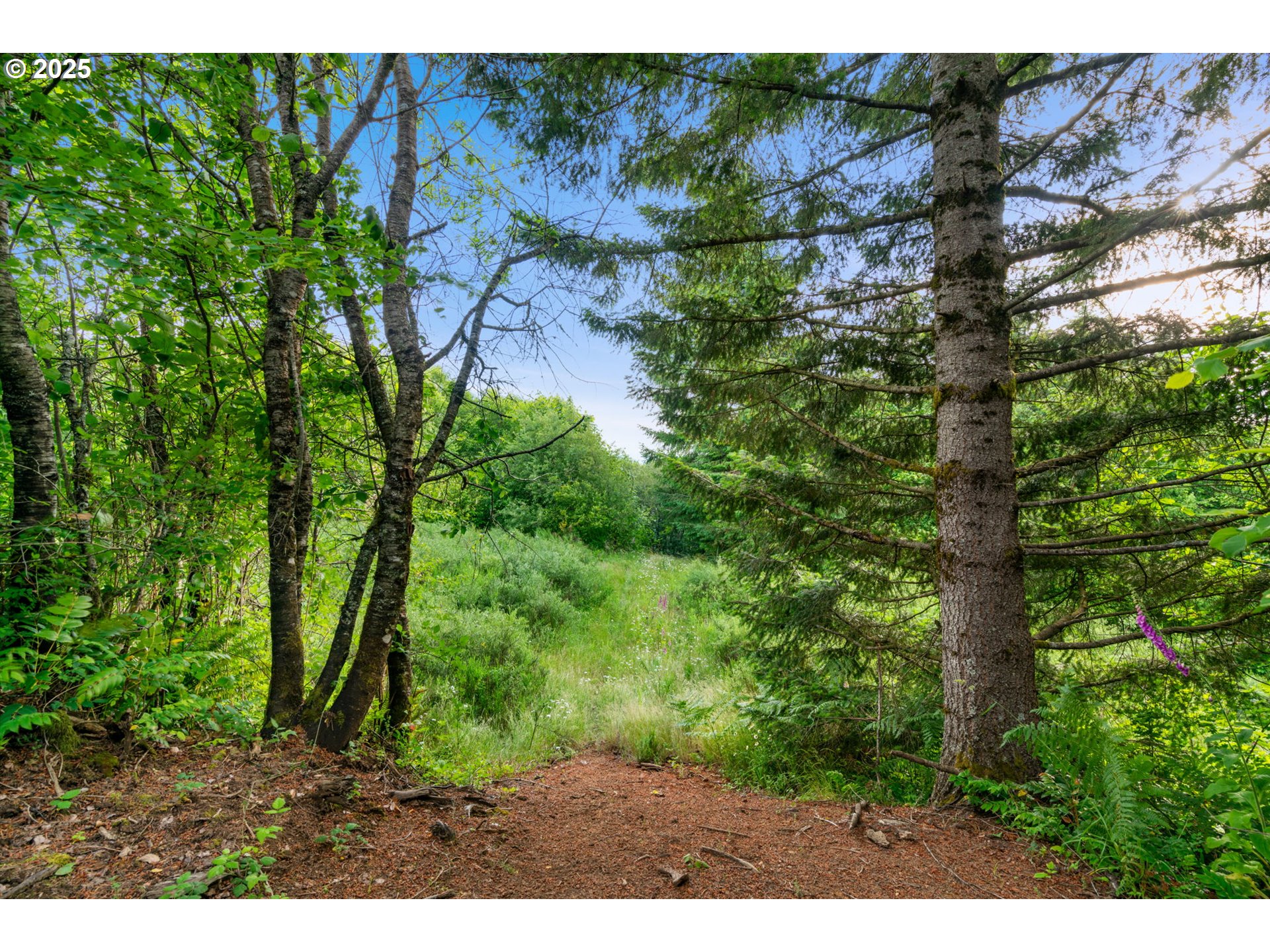 1016 Varsity Road Kalama, WA 98625 - Photo 44 of 48 Gallery Image 44