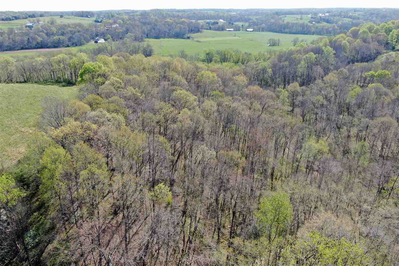 3184 Clare Road Franklin, KY 42134 - Photo 6 of 17 Gallery Image 6