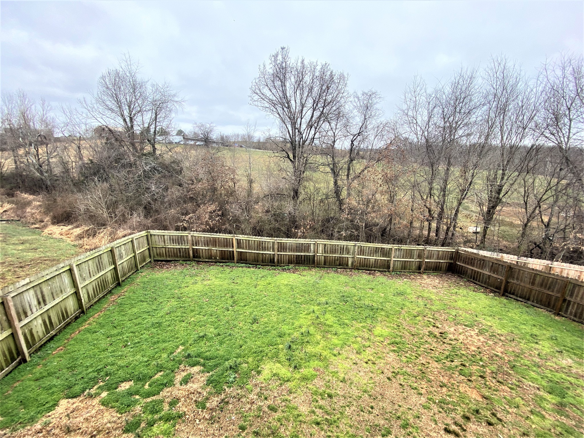 4200 Station Road Cunningham, TN 37052 - Photo 37 of 37 a view of a yard with wooden fence