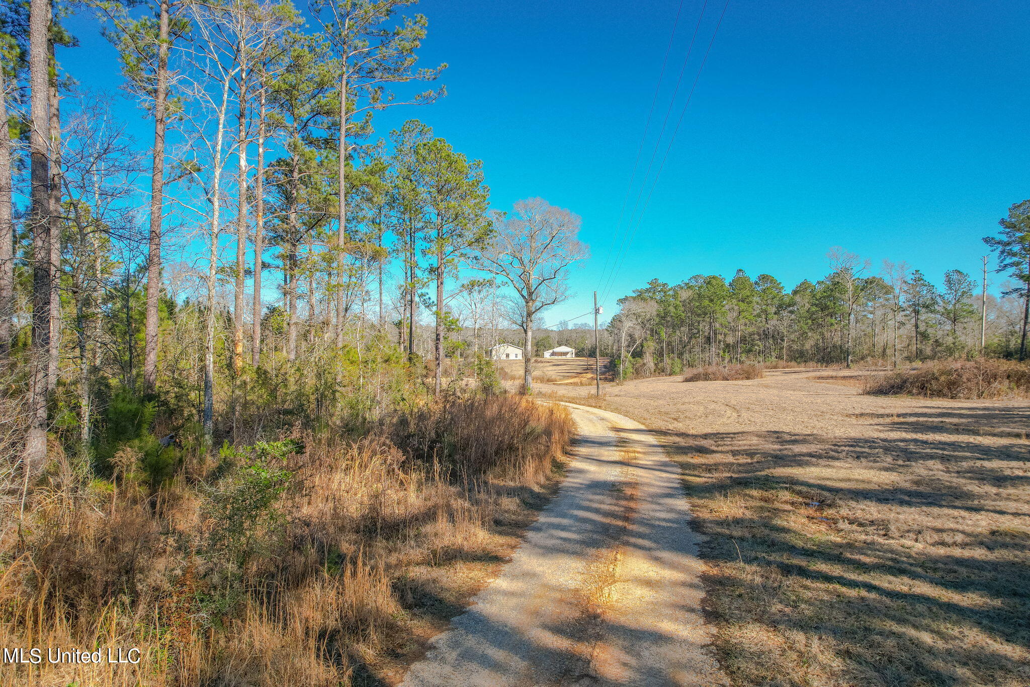 2900 Purvis Oloh Road Sumrall, MS 39482 - Photo 14 of 64 2900_Purvis-Oloh_Road-Exteriors-14