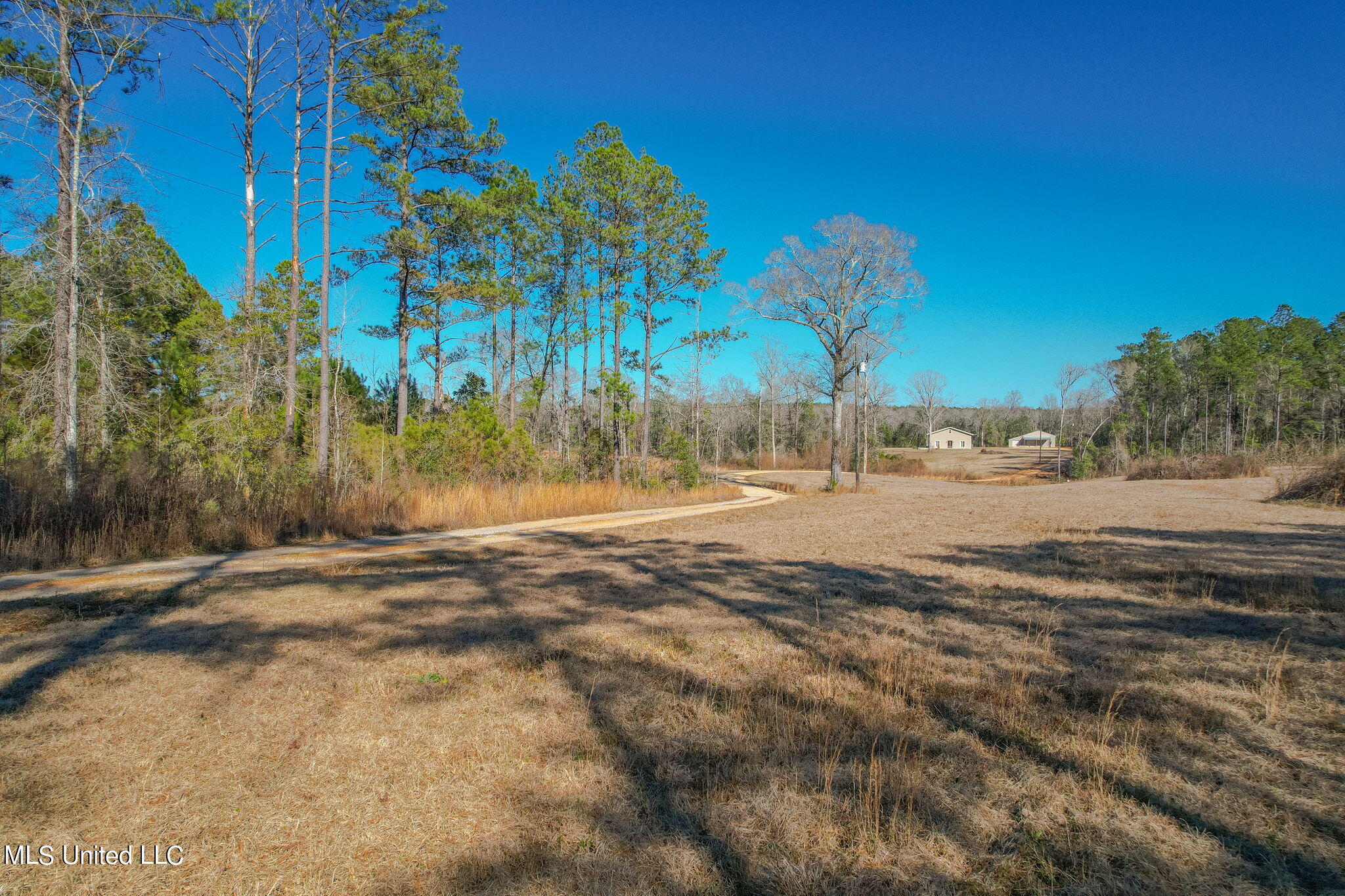 2900 Purvis Oloh Road Sumrall, MS 39482 - Photo 15 of 64 2900_Purvis-Oloh_Road-Exteriors-15