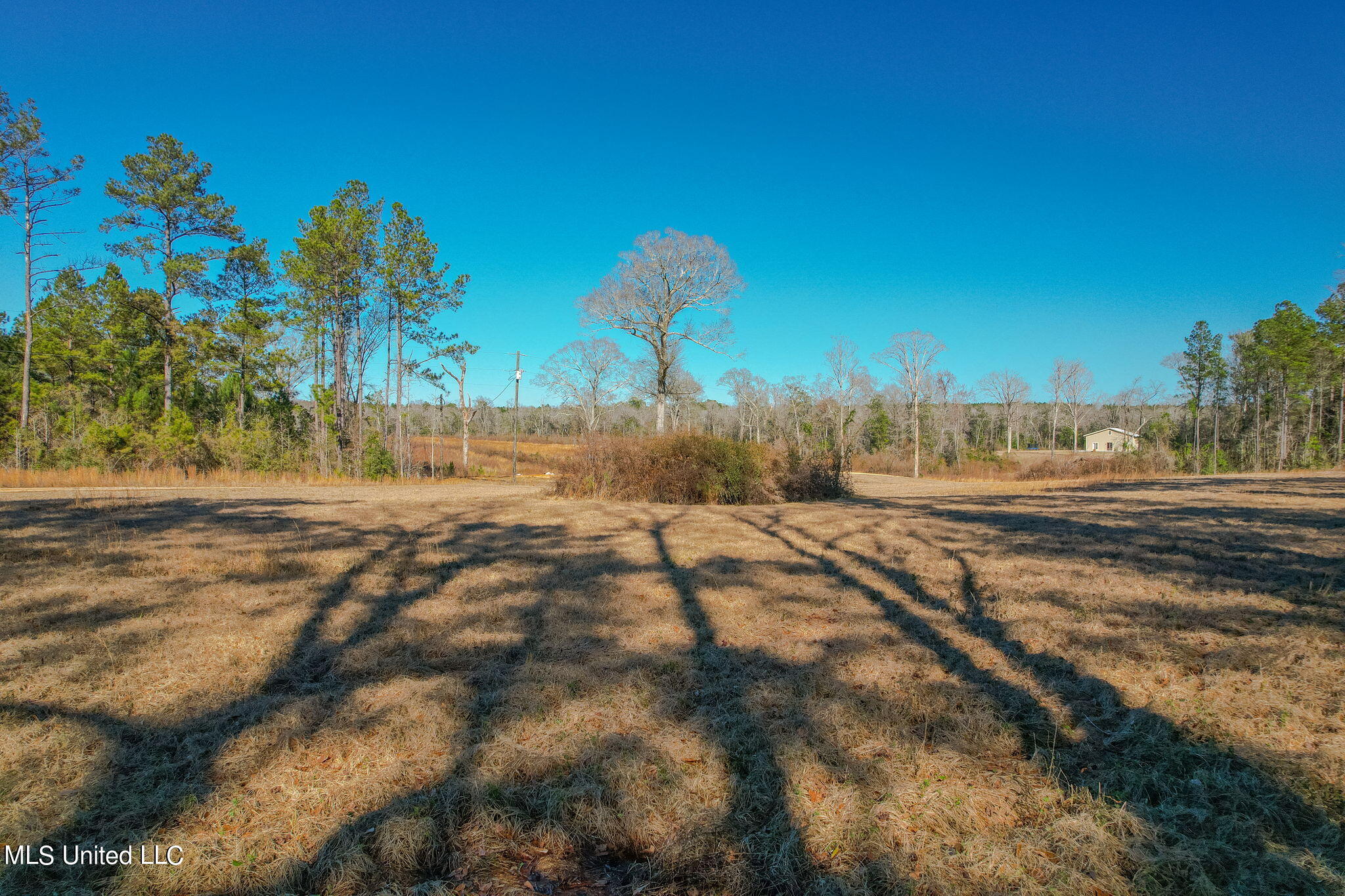 2900 Purvis Oloh Road Sumrall, MS 39482 - Photo 16 of 64 2900_Purvis-Oloh_Road-Exteriors-16