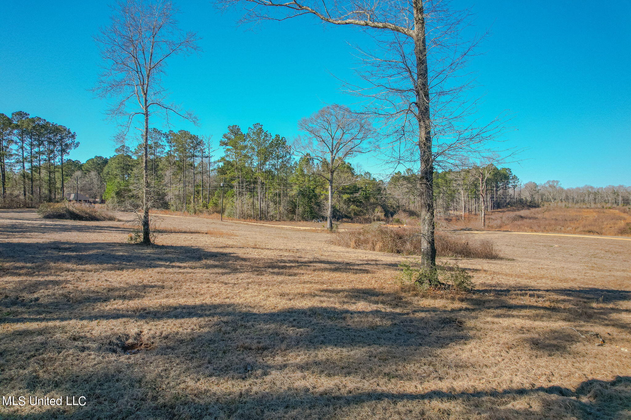 2900 Purvis Oloh Road Sumrall, MS 39482 - Photo 17 of 64 2900_Purvis-Oloh_Road-Exteriors-17