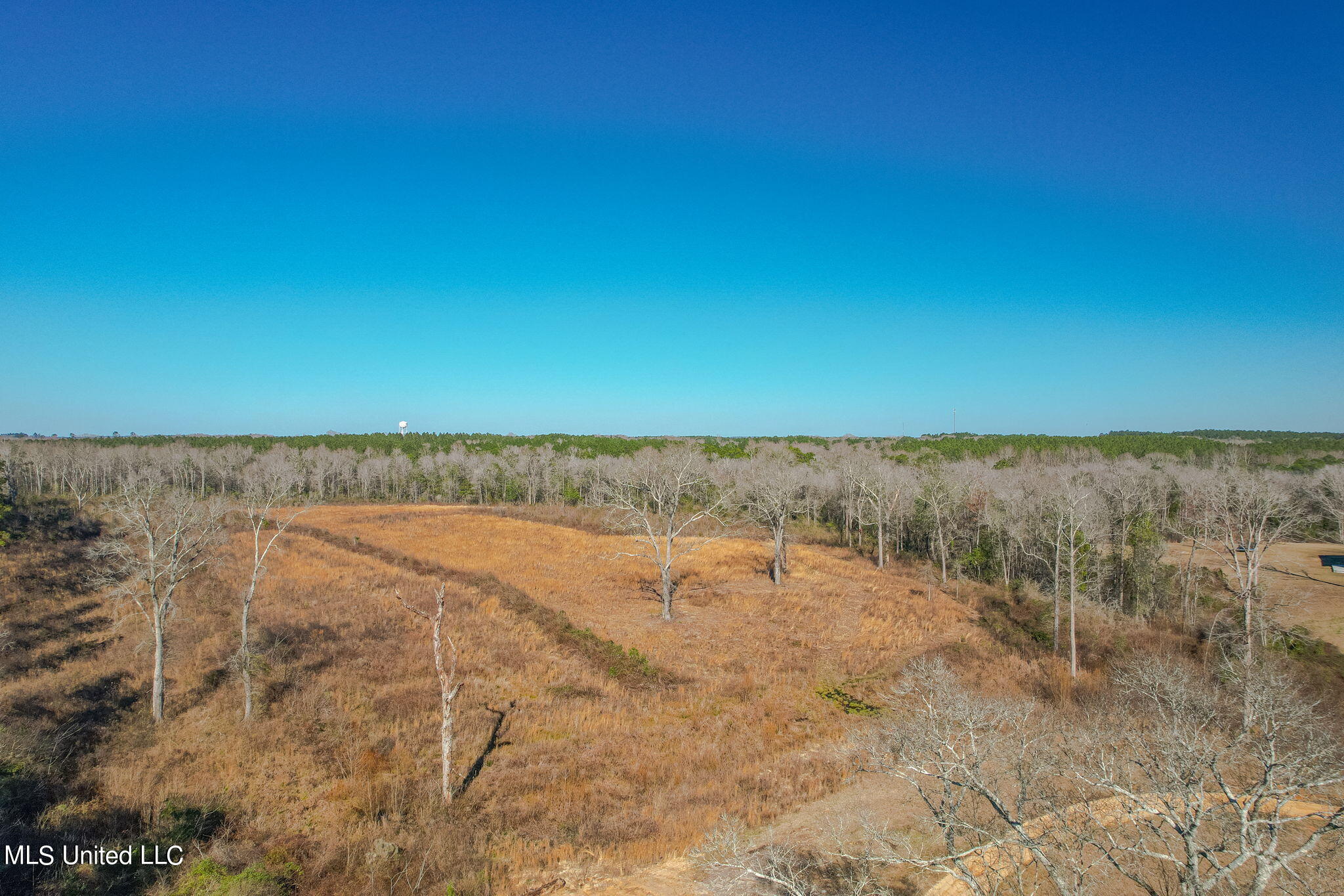 2900 Purvis Oloh Road Sumrall, MS 39482 - Photo 18 of 64 2900_Purvis-Oloh_Road-Exteriors-18