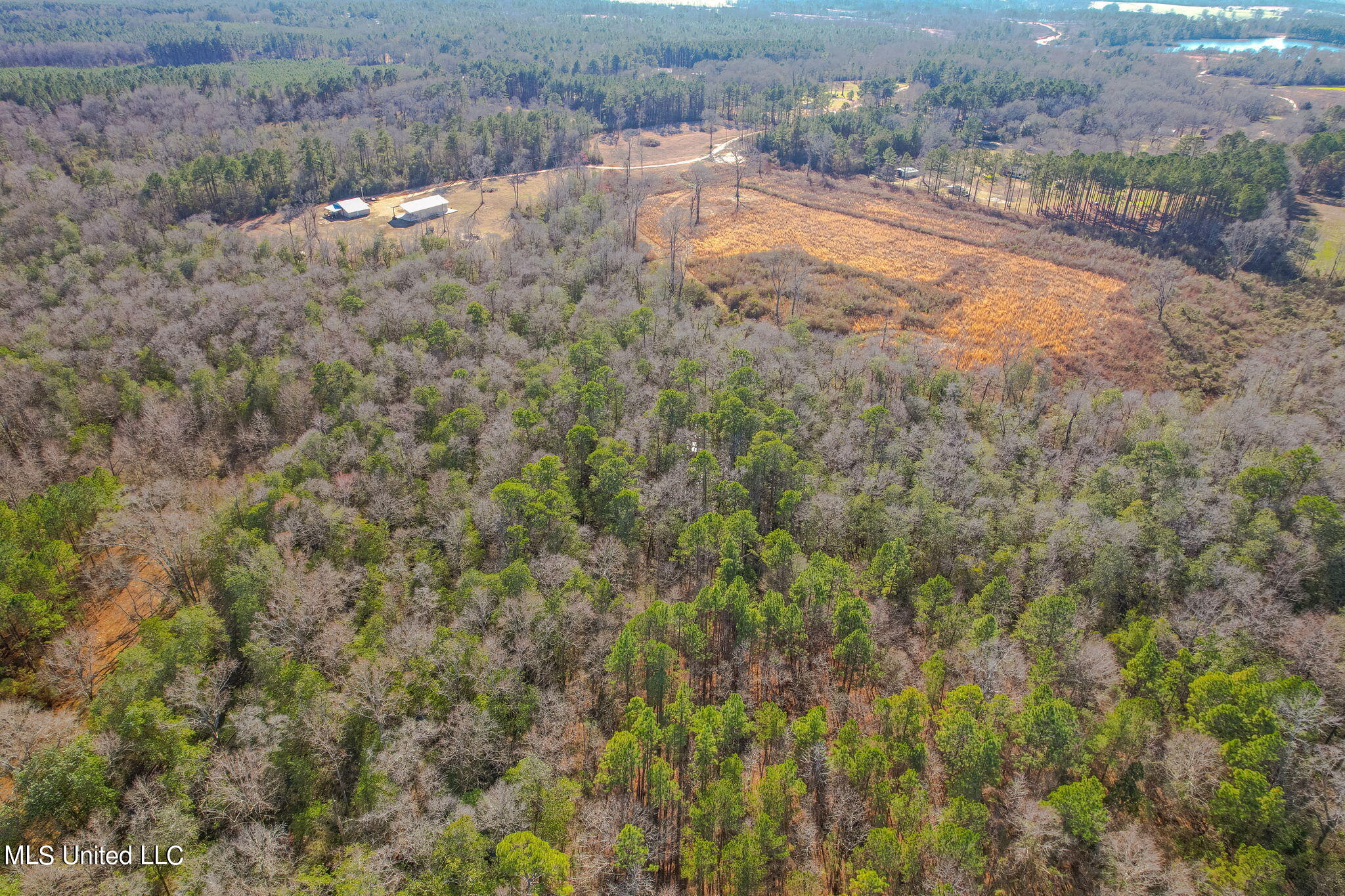 2900 Purvis Oloh Road Sumrall, MS 39482 - Photo 22 of 64 2900_Purvis-Oloh_Road-Exteriors-22