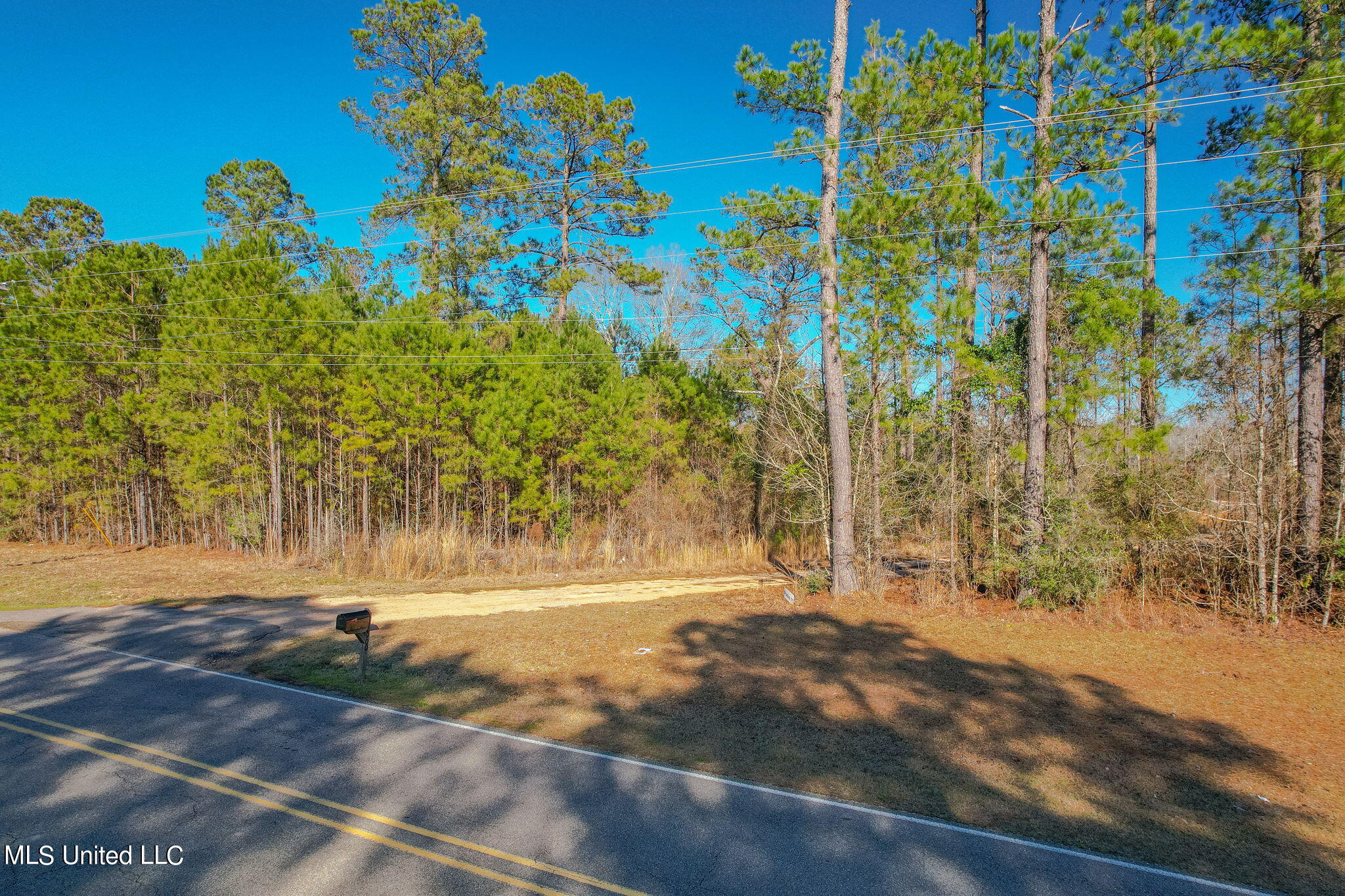 2900 Purvis Oloh Road Sumrall, MS 39482 - Photo 28 of 64 2900_Purvis-Oloh_Road-Exteriors-28