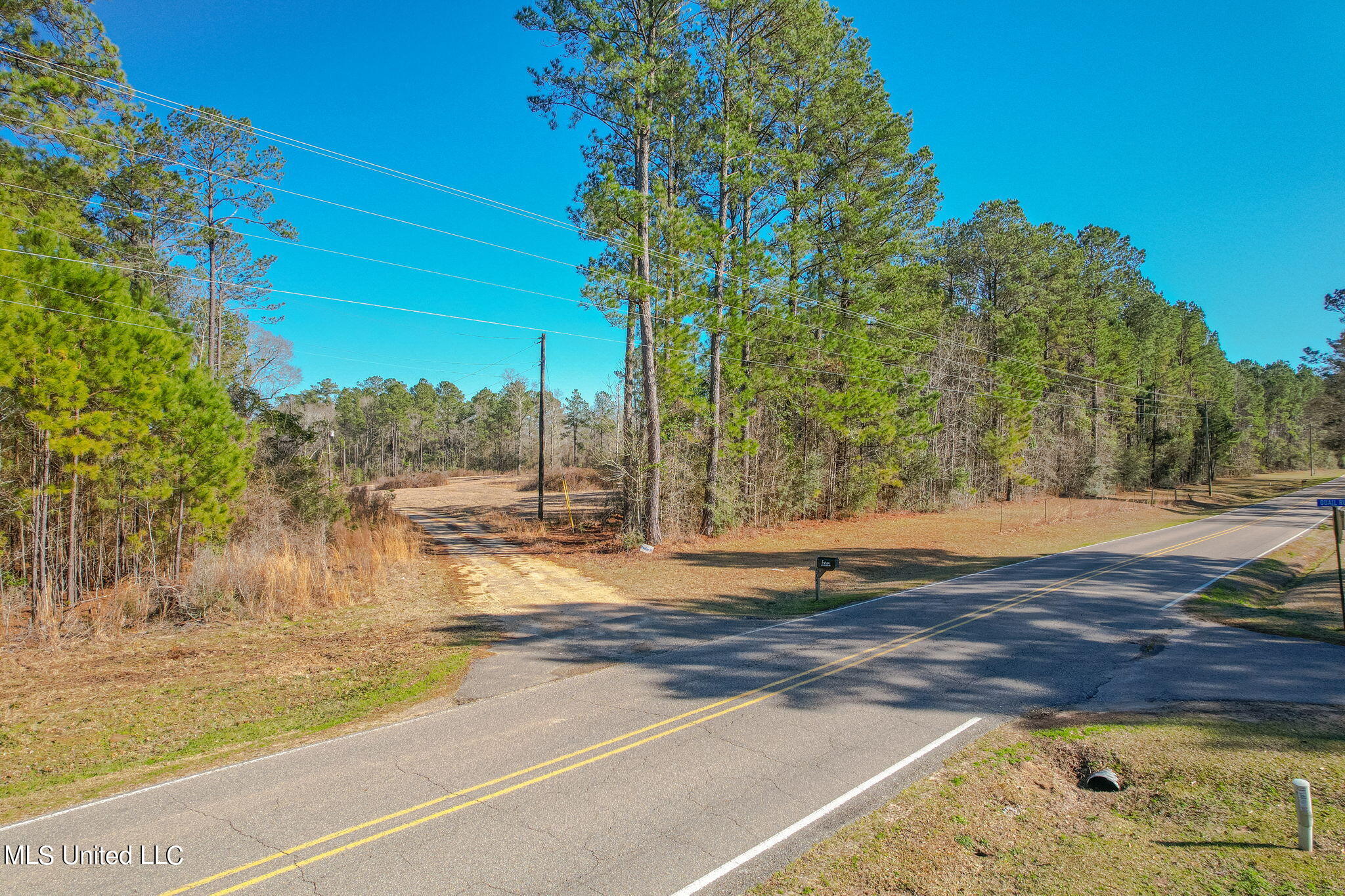 2900 Purvis Oloh Road Sumrall, MS 39482 - Photo 29 of 64 2900_Purvis-Oloh_Road-Exteriors-29