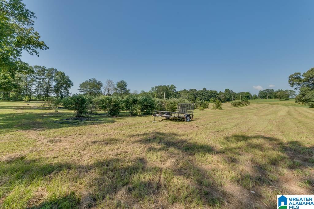 466 County Road 368 Verbena, AL 36091 - Photo 34 of 41