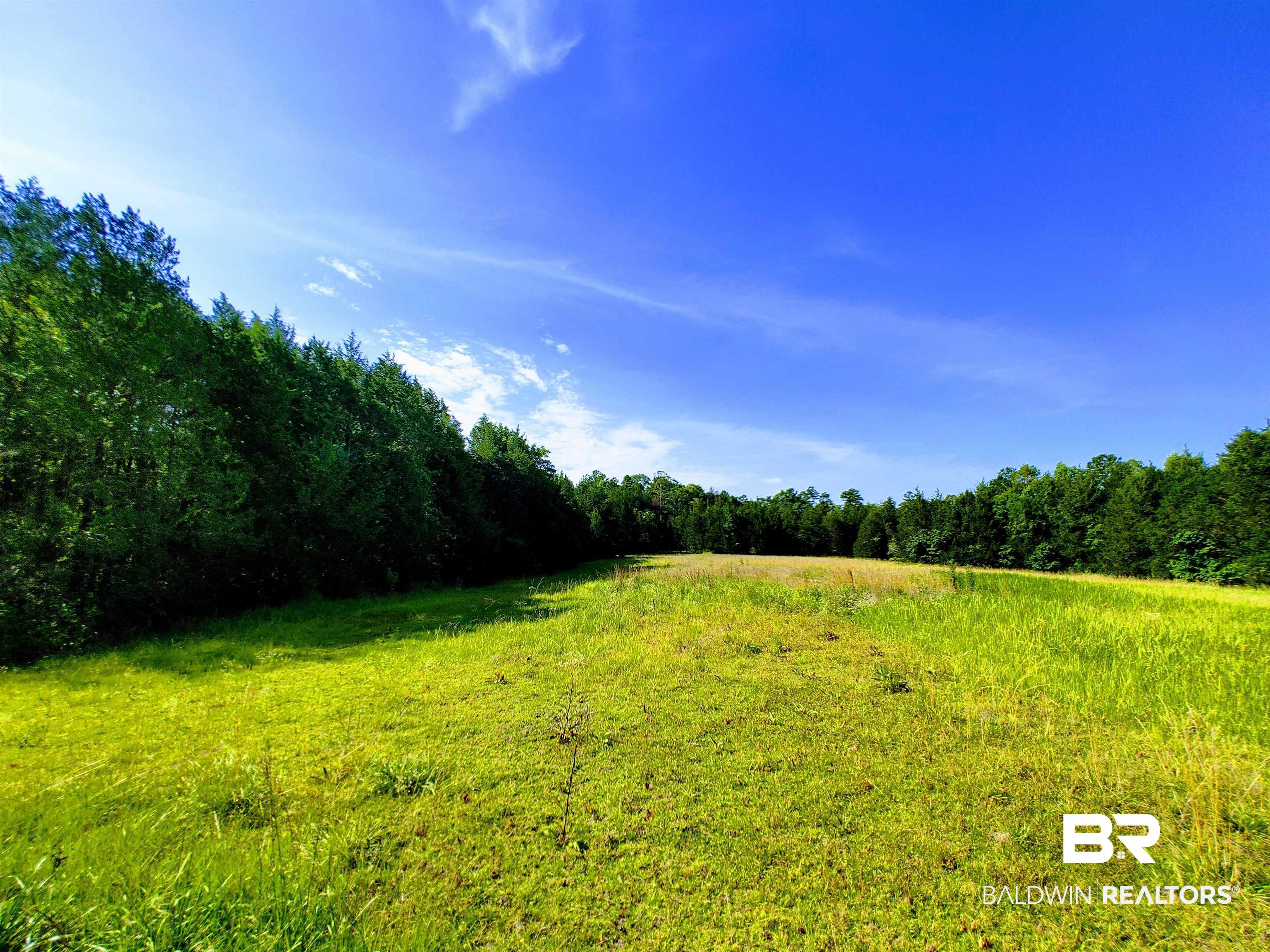 48 Highway 17 Millry, AL 36558 - Photo 31 of 50