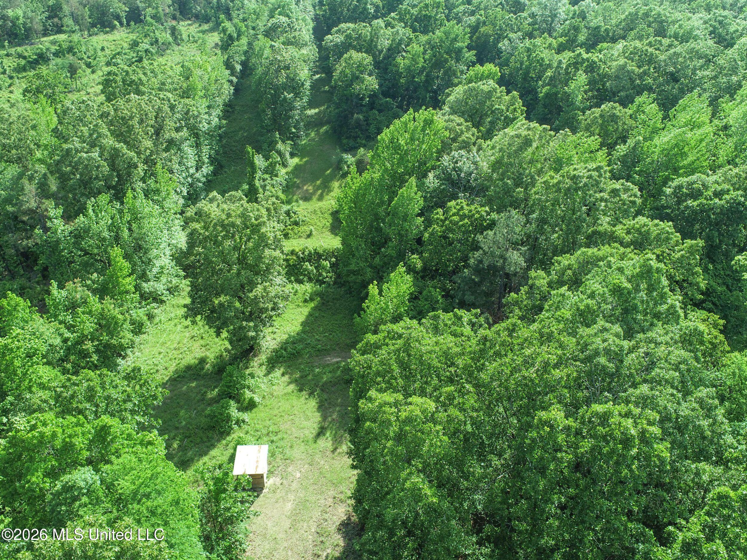 Wayne Massie Road Como, MS 38619 - Photo 65 of 184 3ctwmrd47