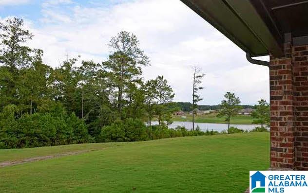 403 Lake Chelsea Way Chelsea, AL 35043 - Photo 38 of 38