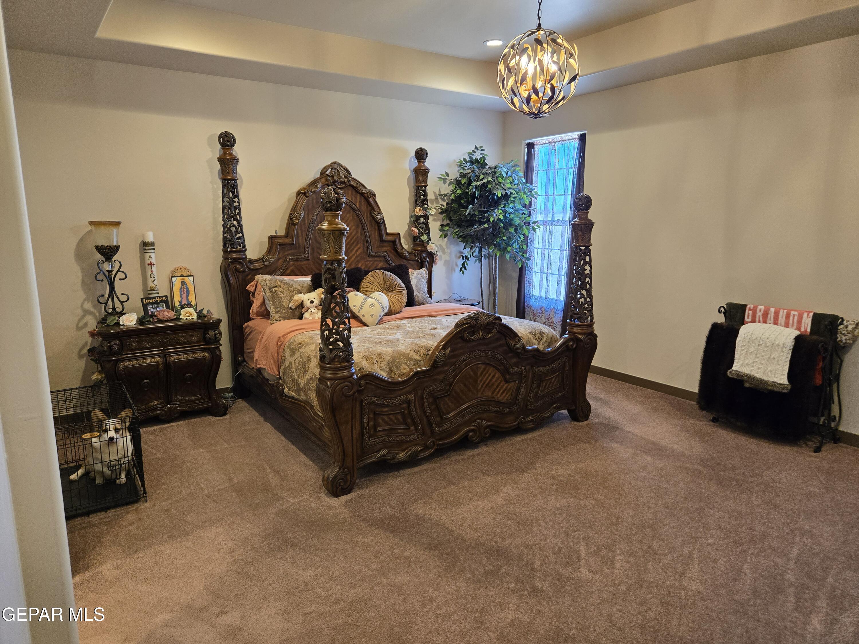 3370 Opitz Road Anthony, NM 88021 - Photo 24 of 34 20250407_151226