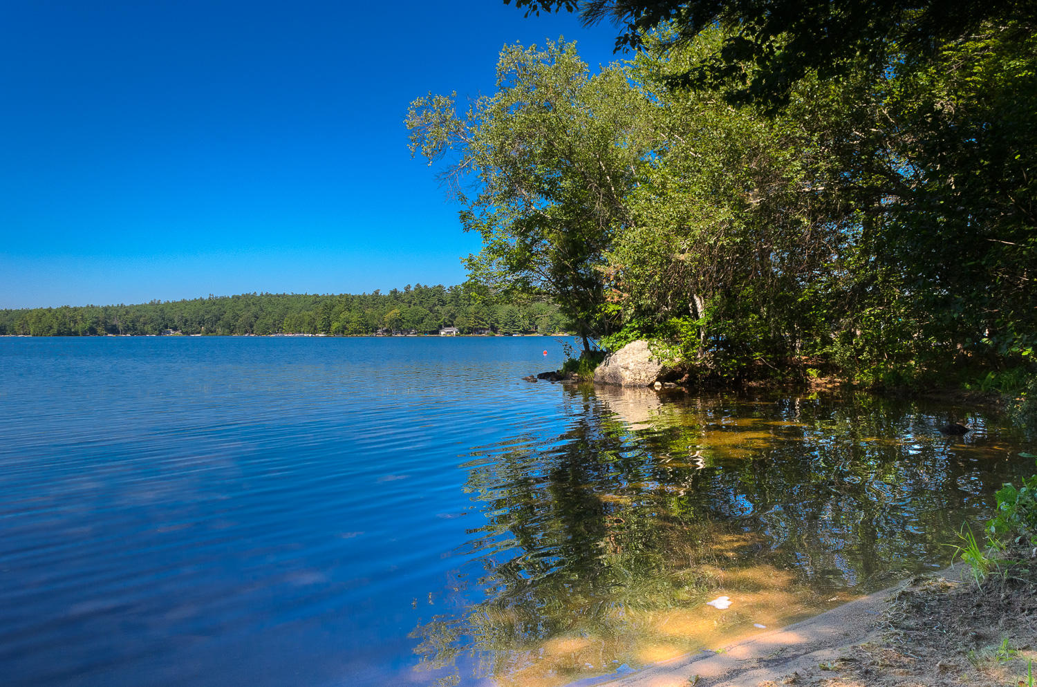 17 Grape Island Trail Gray, ME 04039 - Photo 25 of 27 025