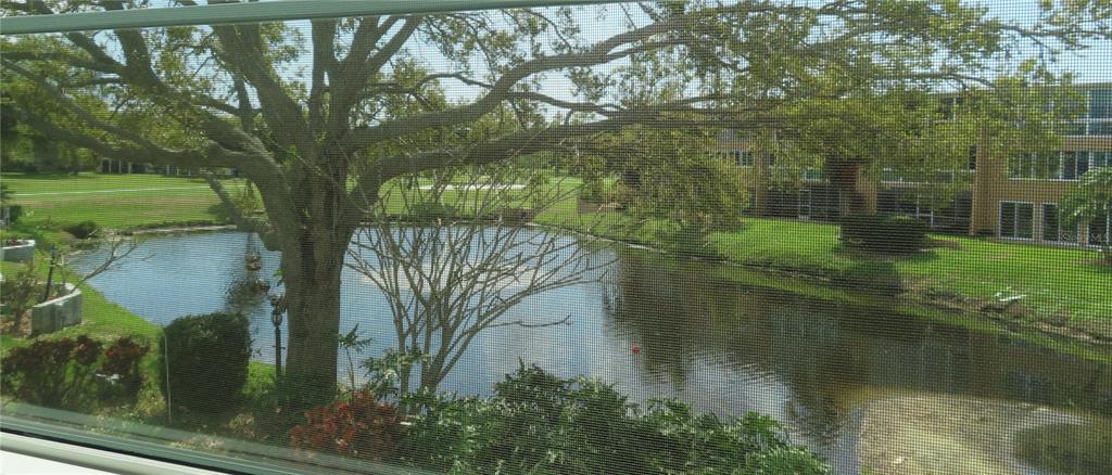 a view of a lake with a yard