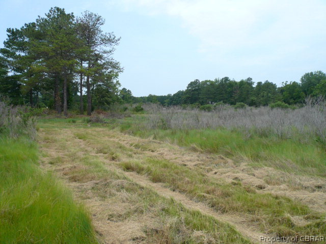 3283 Campground Road Hayes, VA 23072 - Photo 5 of 9