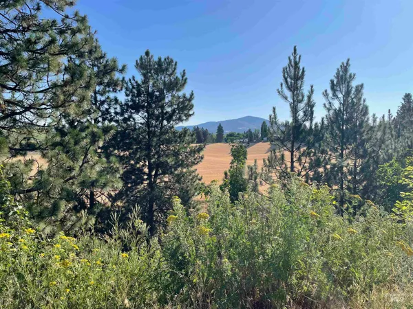 $80,000 | 875 North Ponderosa Drive, Potlatch, ID 83855