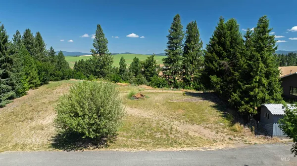 $80,000 | 875 North Ponderosa Drive, Potlatch, ID 83855