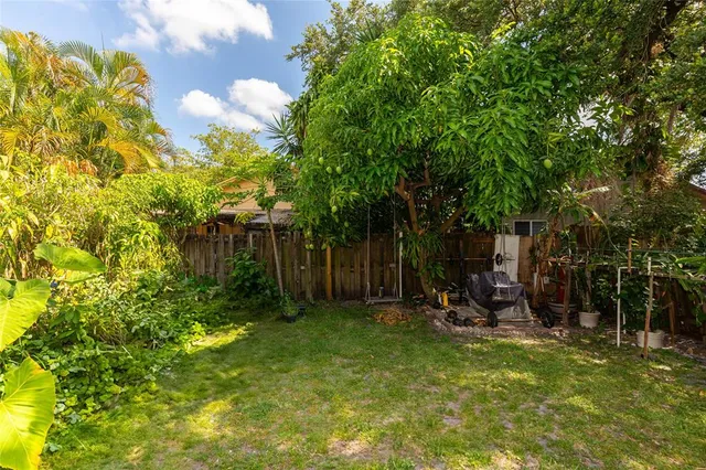 a view of a park with large trees