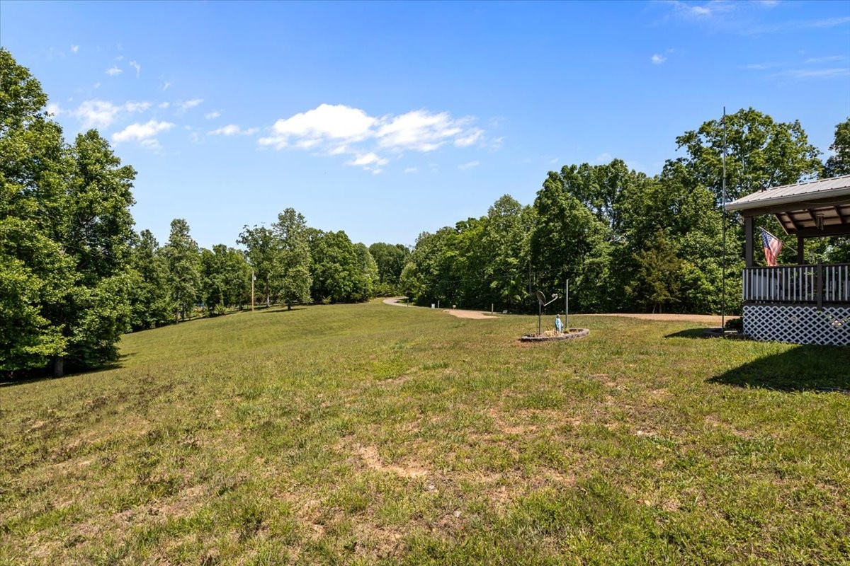 254 Shiloh Hollow Road Erin, TN 37061 - Photo 6 of 63
