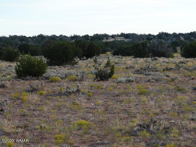 6 T14n R17e: Se4 Se4 Sw4 Heber, AZ 85928 - Photo 2 of 3