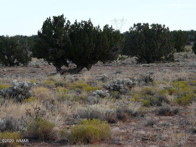 6 T14n R17e: Se4 Se4 Sw4 Heber, AZ 85928 - Photo 3 of 3